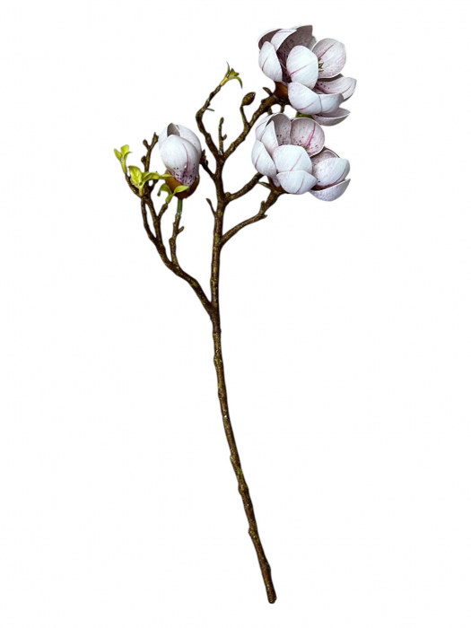 Creanga artificiala cu flori de Magnolia Grandiflora - 55 cm [2]