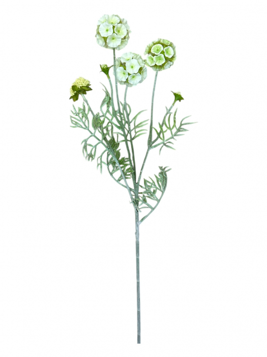 Fir artificial, Scabiosa - 60 cm [2]