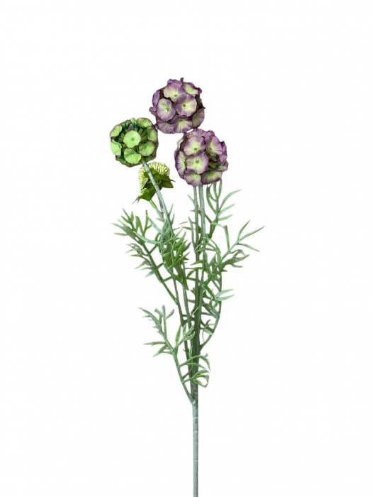 Fir artificial, Scabiosa - 60 cm [2]