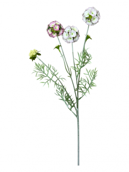 Fir artificial, Scabiosa - 60 cm [2]