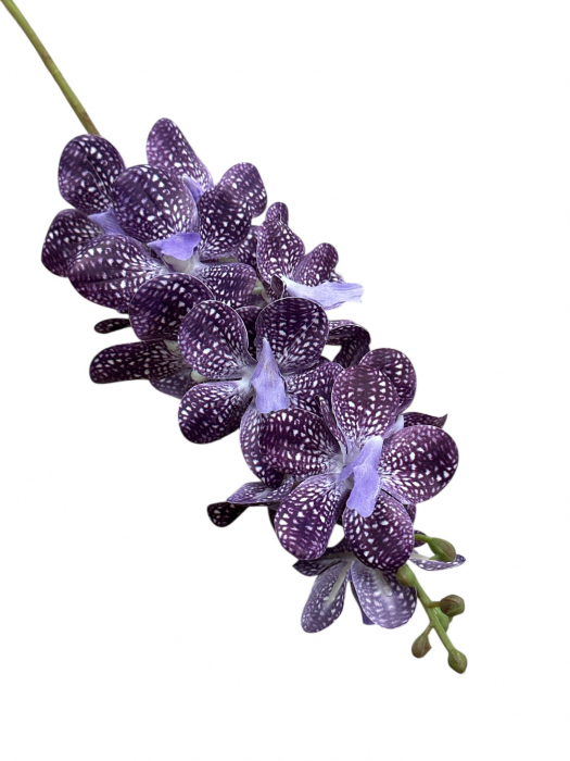 Orhidee  artificiala, Wanda cu 15 cupe - 76 cm [2]