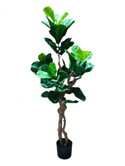 Planta artificiala la ghiveci, 150 cm - Ficus Lyrata [1]