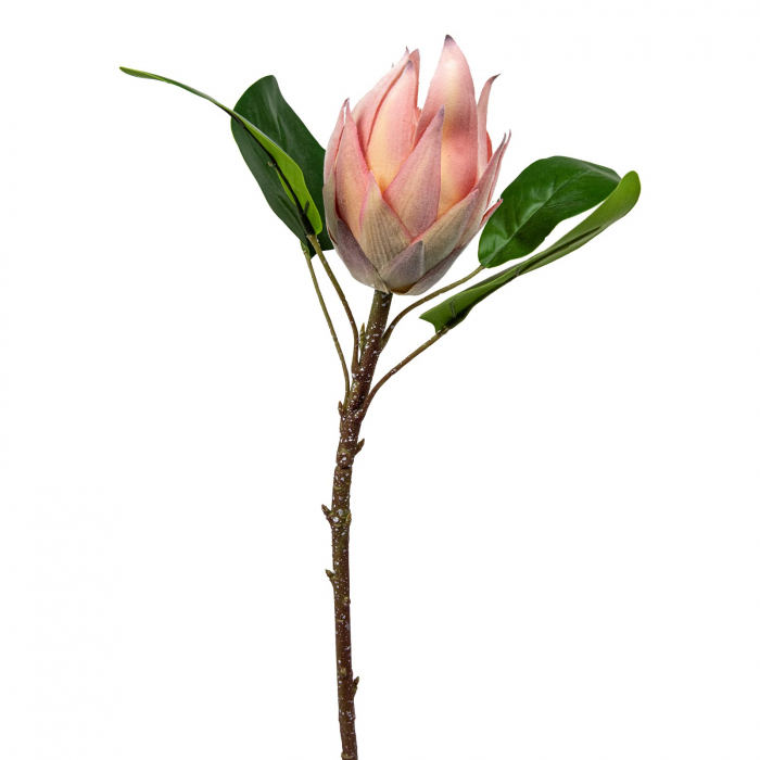 Floare artificiala de Proteea cu frunze - 50 cm [2]