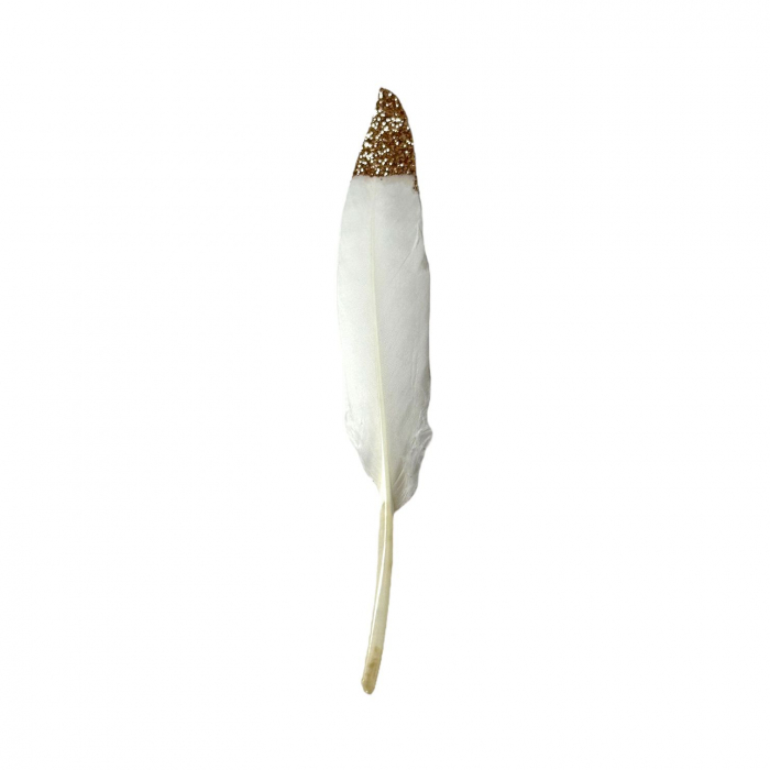 Set 20 pene decorative - 15 cm [2]