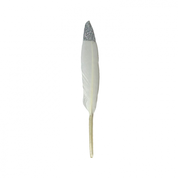 Set 20 pene decorative - 15 cm [2]