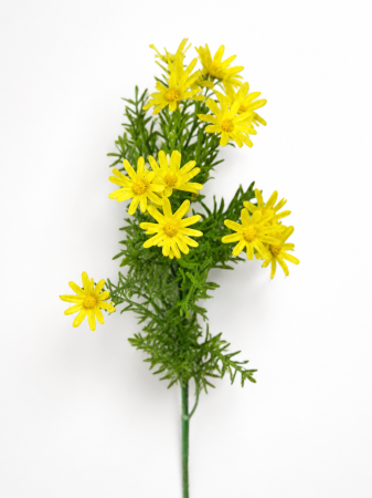 Buchet artificial, Banutei Australieni - 30 cm [2]