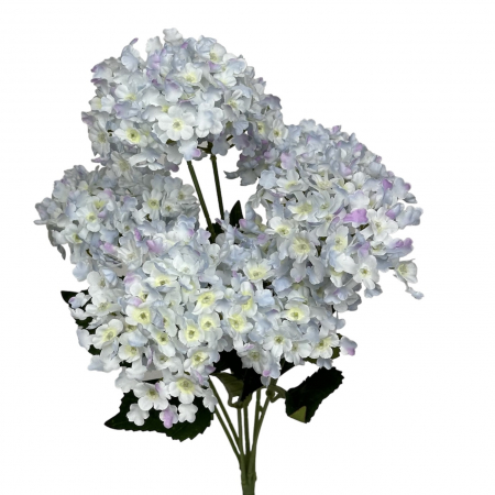 img-attr