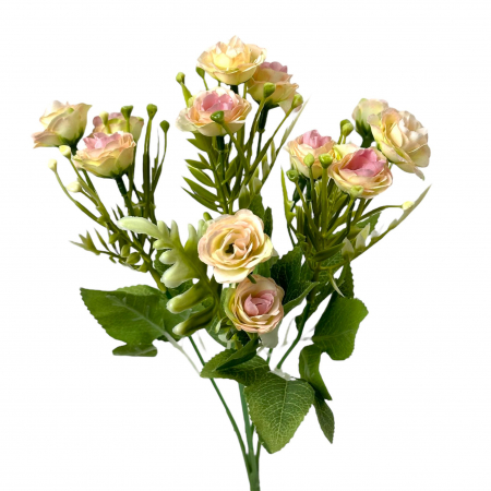 img-attr