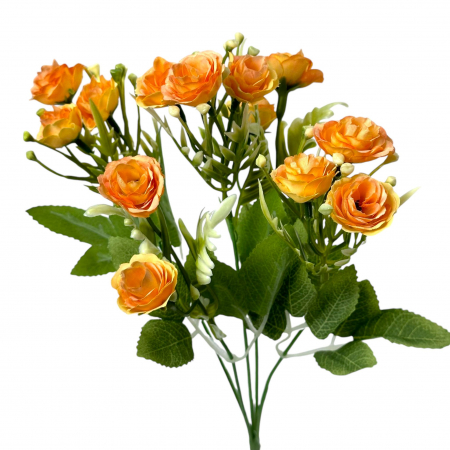 img-attr