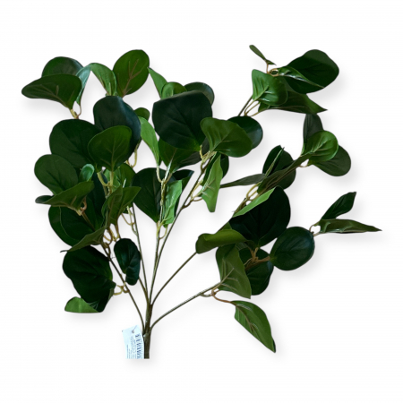 peperomia - Buchet artificial de Peperomia - 30 cm
