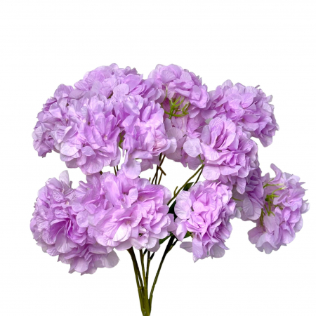 img-attr