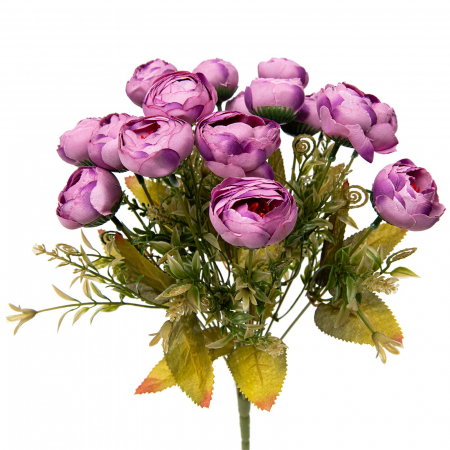 img-attr