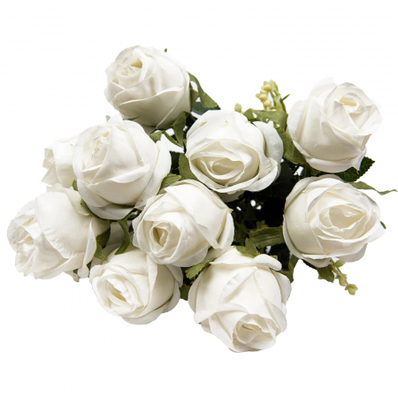 img-attr