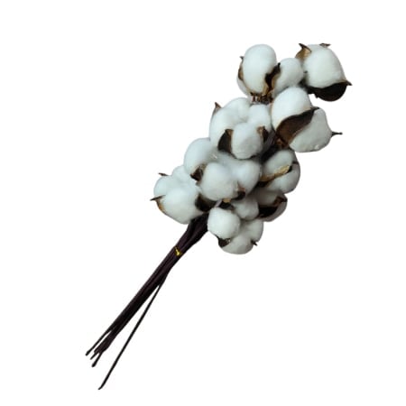 Produse noi - BUCHET FLORI BUMBAC alb 10buc/pg 25J 13-1