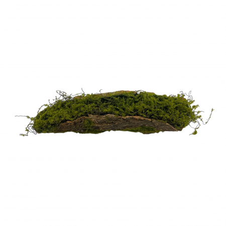 Decor & Design - Buturuga din scoarta artificiala si muschi pentru aranjamente florale - 40 cm