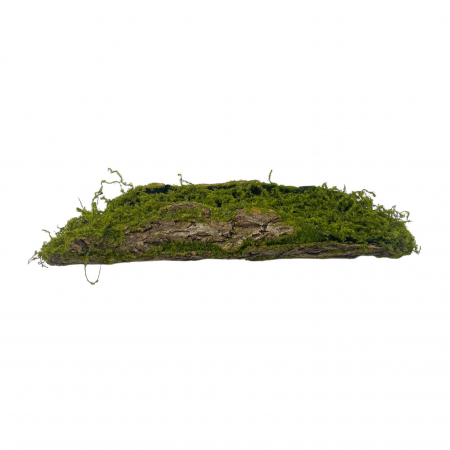Decor & Design - Buturuga din scoarta artificiala si muschi pentru aranjamente florale - 60 cm