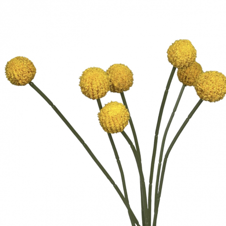 Craspedia - Buchet artificial cu flori de Craspedia - 60 cm