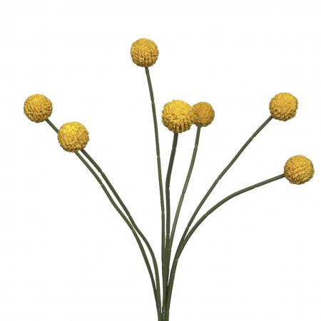 Buchet artificial cu flori de Craspedia - 60 cm [1]