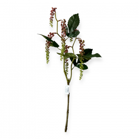 img-attr