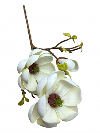 Magnolia - Creanga artificiala cu flori de Magnolia Grandiflora - 55 cm