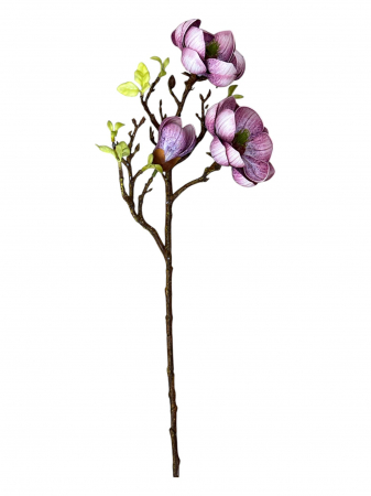 Creanga artificiala cu flori de Magnolia Grandiflora - 55 cm [1]