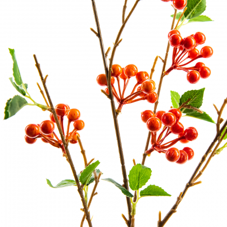 Crengi decorative - Creanga decorativa, Hipericum ,, De Luxe,, - 90 cm