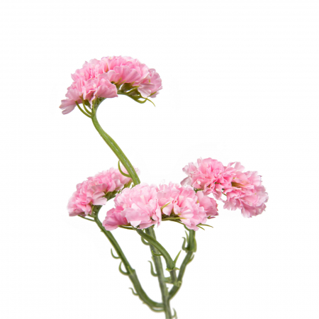 Flori la fir - Fir artificial cu flori de Limonium - 60 cm