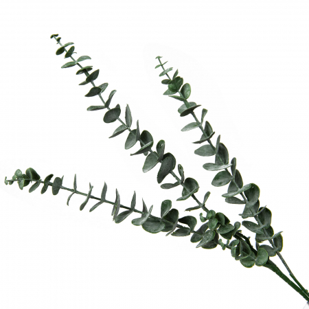 Crengi decorative - Creanga artificiala Eucalyptus Cinerea - 75 cm