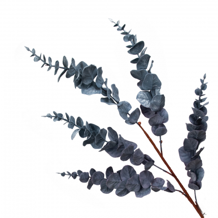 Crengi decorative - Creanga artificiala Eucalyptus Globulus - 90 cm
