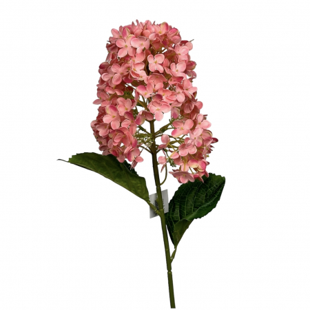 Fir Artificial de Hortensia  paniculata Phantom - 75 cm [1]