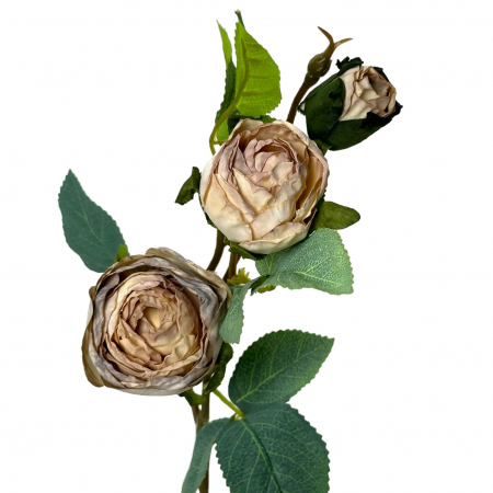 Minirosa - Fir artificial de Mini Rosa Bombastic