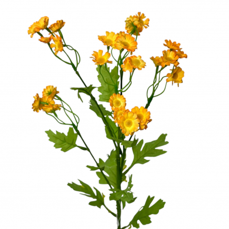 Tanacetum - Fir artificial de Tanacetum