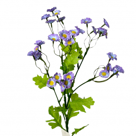 Tanacetum - Fir artificial de Tanacetum