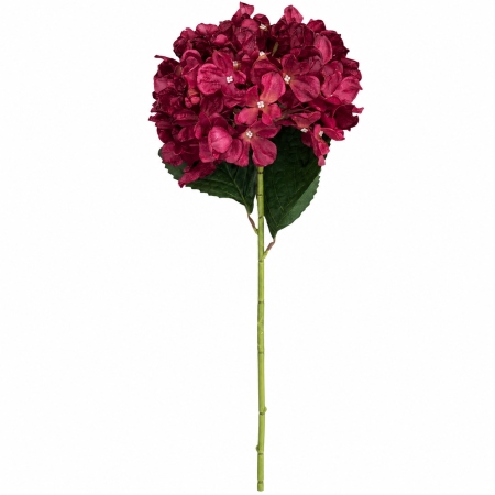 img-attr