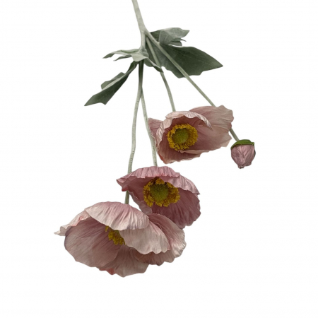 FLORI & PLANTE DECORATIVE - Fir artificial, Papaver Islandez - 60 cm