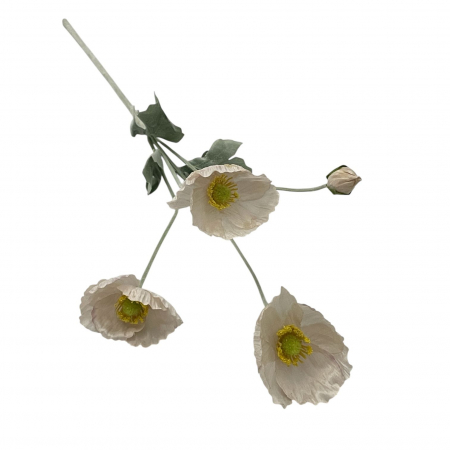 img-attr