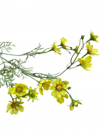 paralute - Fir artificial, Paralute - 85 cm