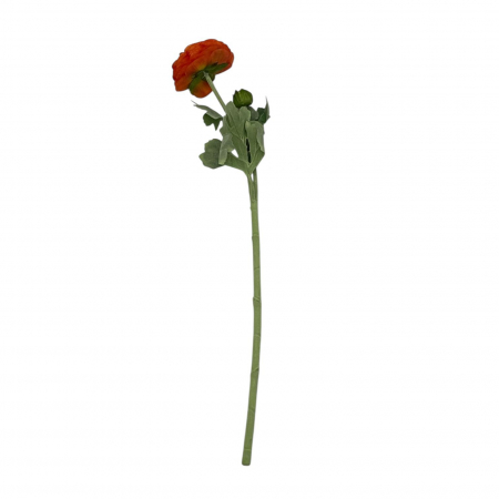 Fir artificial, Ranunculus Asiatic - 50 cm [1]