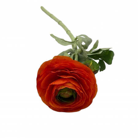 Ranunculus - Fir artificial, Ranunculus Asiatic - 50 cm