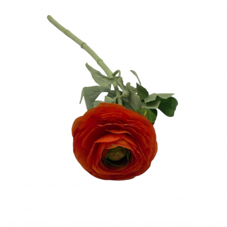 img-attr