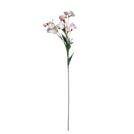 Fir artificial, Ranunculus Batterflay - 80 cm [1]