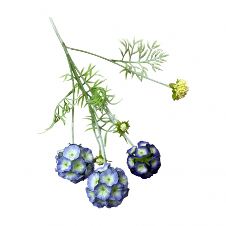img-attr