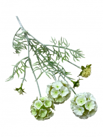 scabiosa - Fir artificial, Scabiosa - 60 cm