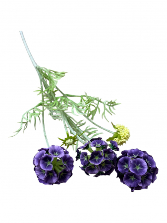 img-attr