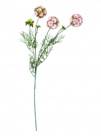 Fir artificial, Scabiosa - 60 cm [1]
