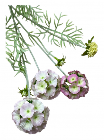 Flori la fir - Fir artificial, Scabiosa - 60 cm