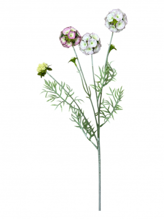 Fir artificial, Scabiosa - 60 cm [1]