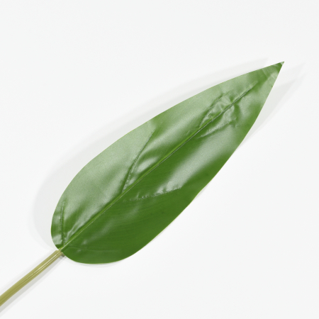 Frunze tropicale - Frunza artificiala Sterlitzia - 75 cm