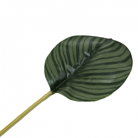 Frunze tropicale - Frunza artificiala Kalathea - 60 cm