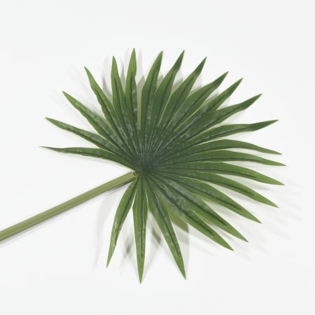 Frunza artificiala palmier 66 CM [0]